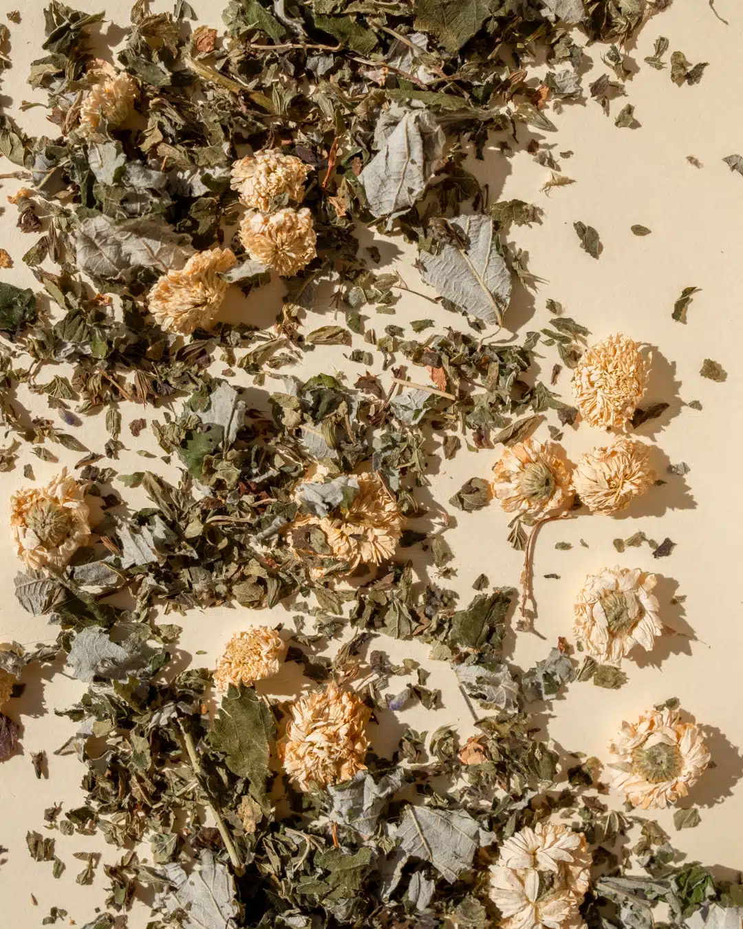 tisane-instant-reconfort-entre-deux-haies-chez-laurette-concepstore-marseille-infusion-the1