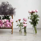 QDB-chez-laurette-concept-store-marseille-vase-transaprent