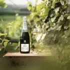 chez-laurette-concept-store-marseille-Champagne-Lanson-bio-organic