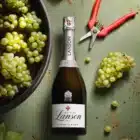 chez-laurette-concept-store-marseille-Champagne-Lanson-blanc-de-blancs