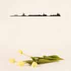 chez-laurette-concept-store-marseille-the-line-amsterdam