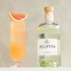 chez-laurette-concept-store-marseille-melifera-gin-bio