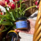 chez-laurette-concept-store-marseille-timon-sourrieu-tete-anchois