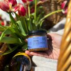 chez-laurette-concept-store-marseille-timonetsourrieu-tete-anchois