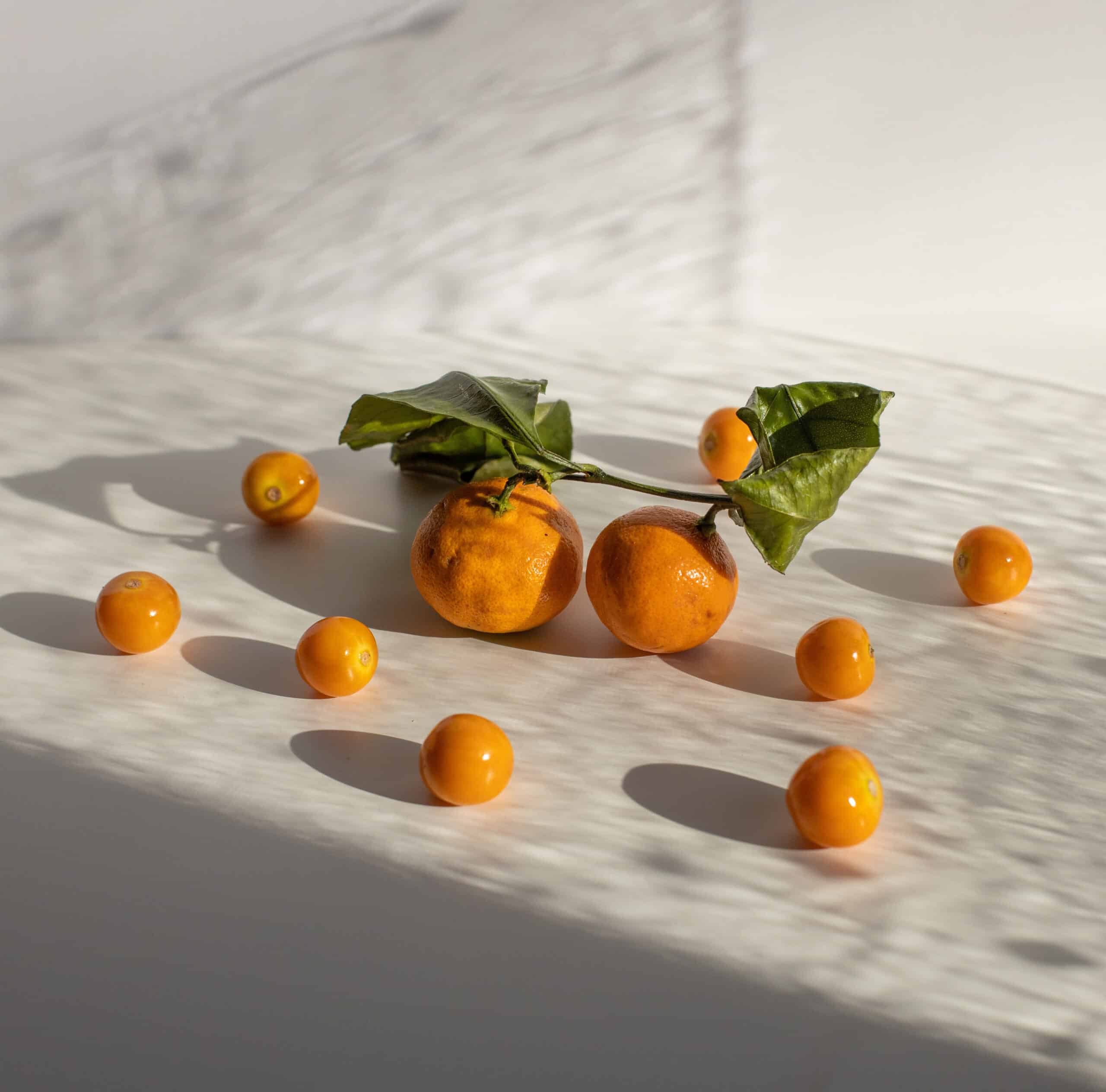 chez-laurette-concept-store-marseille-ernest-ernest-article