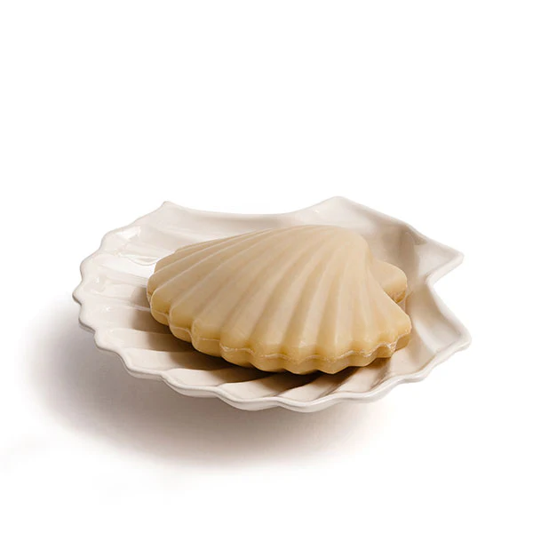 coffret monochromic coquillage fer cheval chez laurette concept store marseille