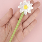 chez-laurette-concept-store-marseille-coucou-suzette-pic-paquerette