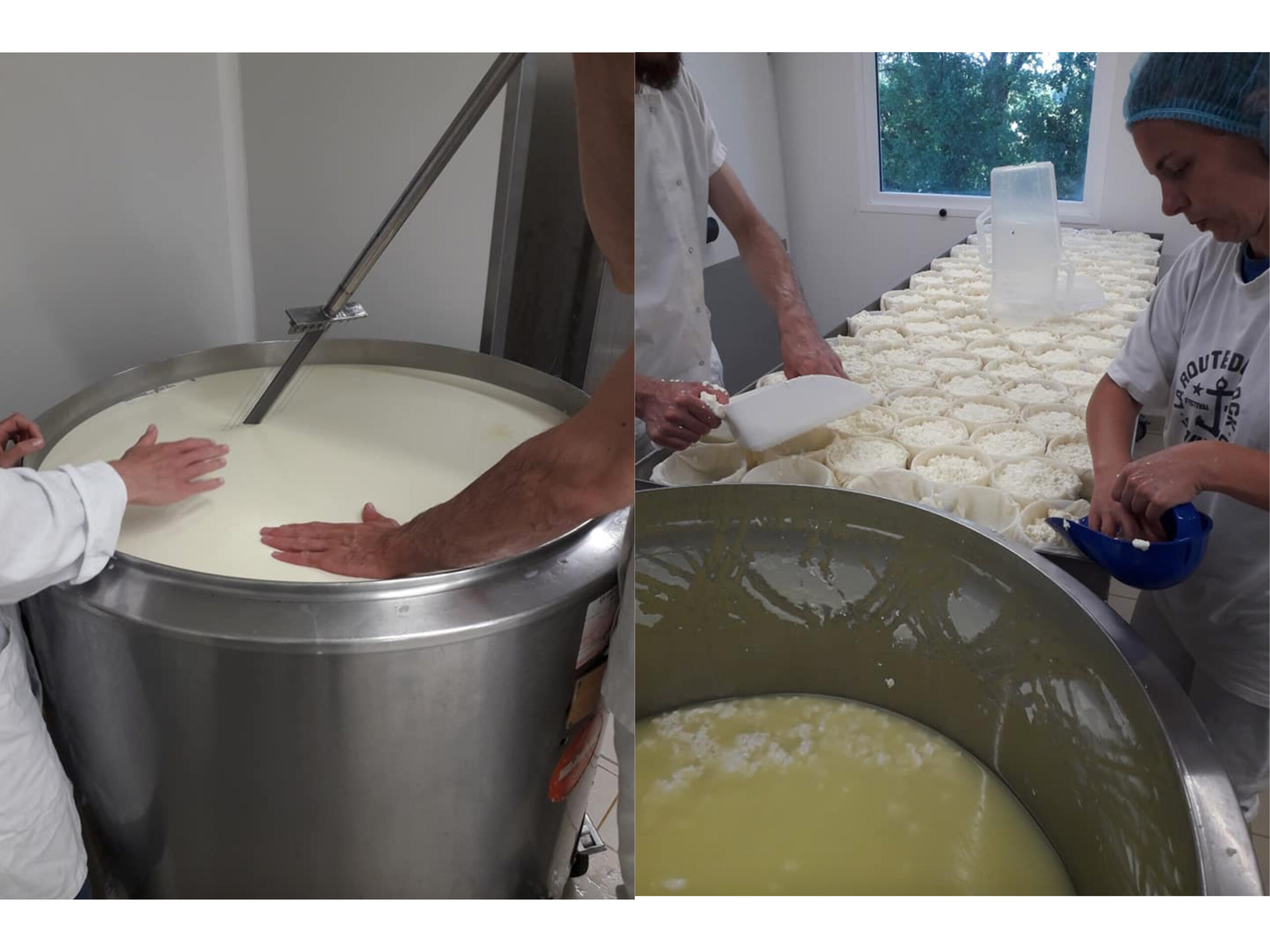 chez-laurette-concept-store-marseille-fromagerie-bois-d'amalthée-ferme-article-mej'lavande