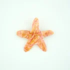 coucou-suzette-accessoire-accessory-cadeau-gift-tendance-trendy-fashion-ete-summer-plouf-splash-mer-sea-cheveux-french-barrette-etoile-mer-starfish-orange-- chez-laurette-marseille-concepstore