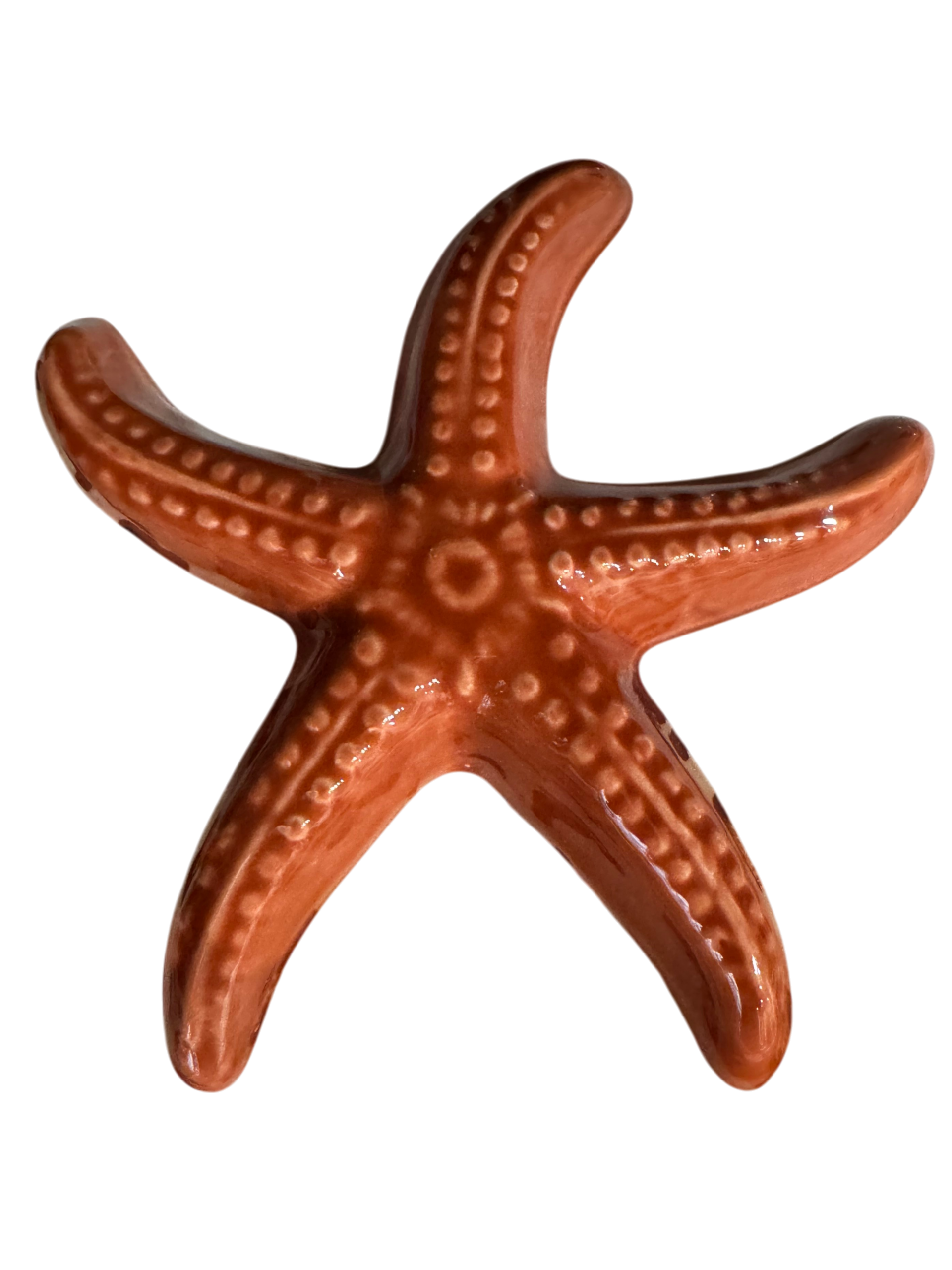 etoile de mer Sicard faience chez laurette conceptstore marseille terracotta etoile-de-mer-Sicard-faience-chez-laurette-conceptstore-marseille-terracotta
