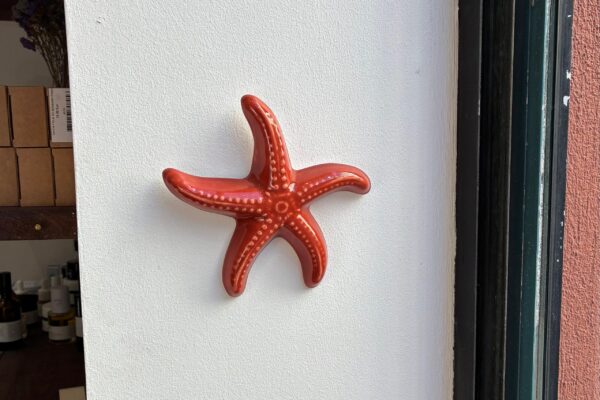 etoile-de-mer-chez-laurette-concept-store