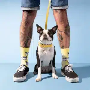 Chaussettes